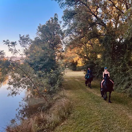 Domaine De Boulouch *
