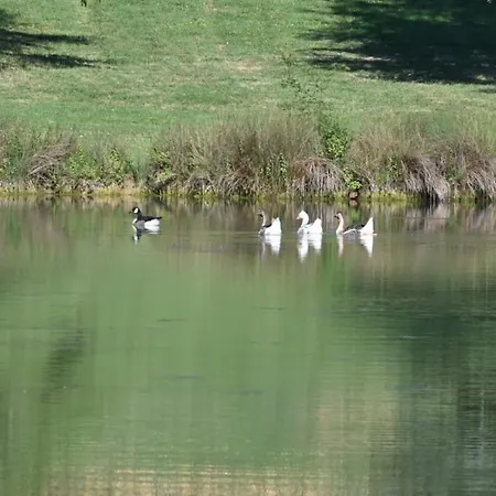 Domaine De Boulouch לקטור