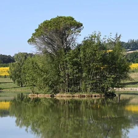 호텔 Domaine De Boulouch